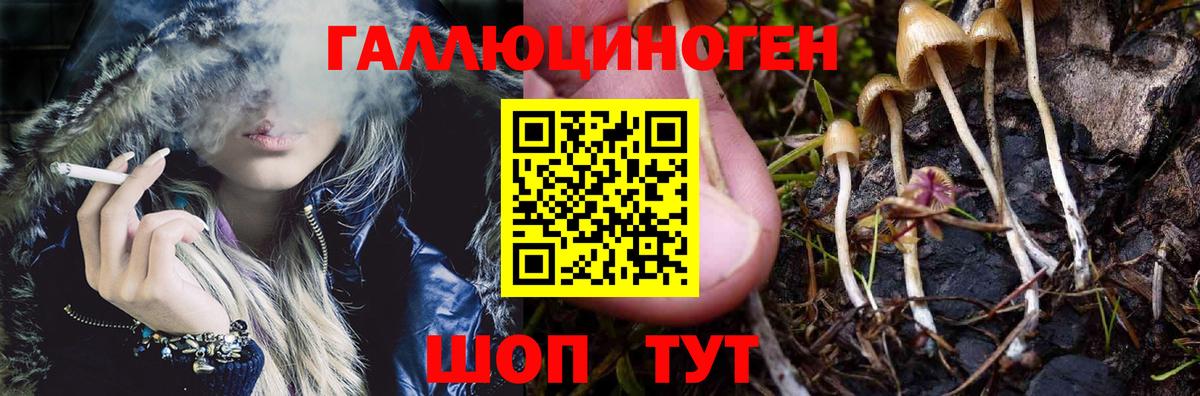 Киров  Псилоцибиновые грибы GOLDEN TEACHER  Вход с VPN 